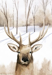 Snowland Collection B