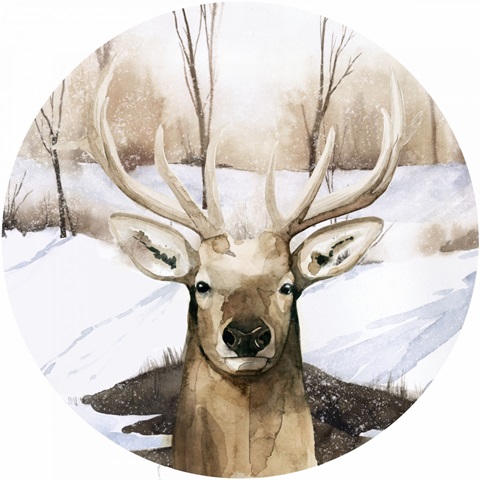 Snowland Collection C