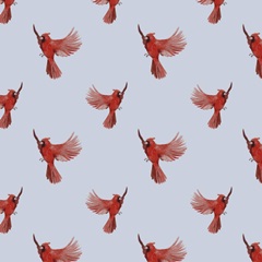 Snowland Collection F