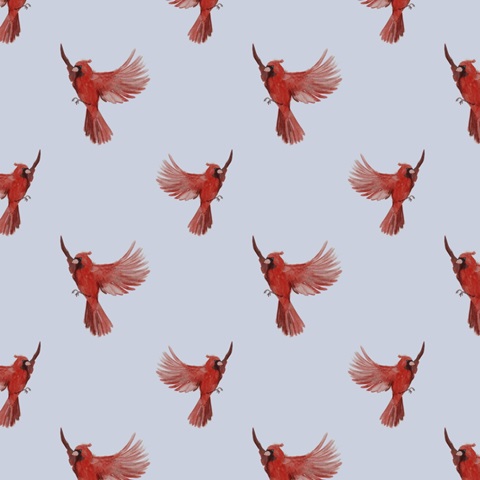 Snowland Collection F