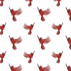 Snowland Collection G