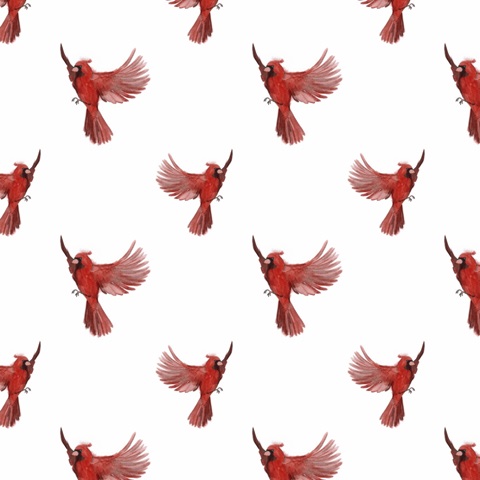 Snowland Collection G