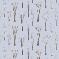 Snowland Collection H