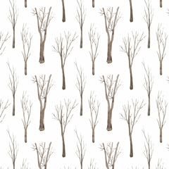 Snowland Collection I