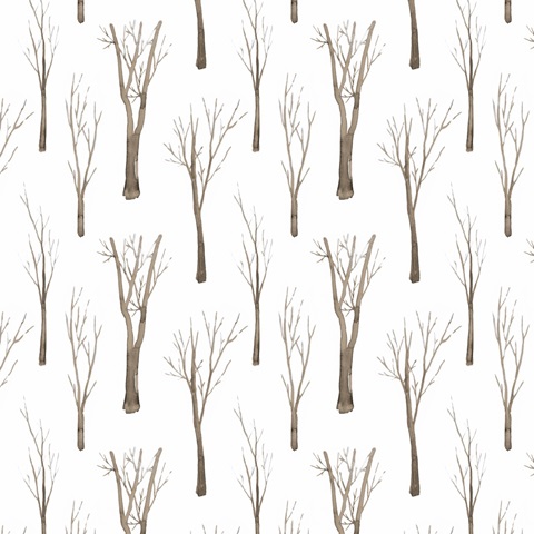 Snowland Collection I