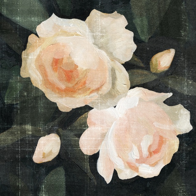 Soft Garden Roses I