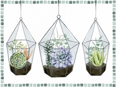 Succulent Swatch Collection A