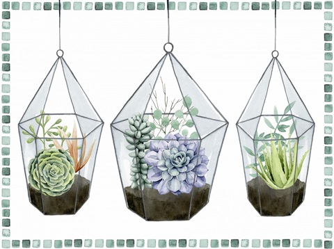 Succulent Swatch Collection A