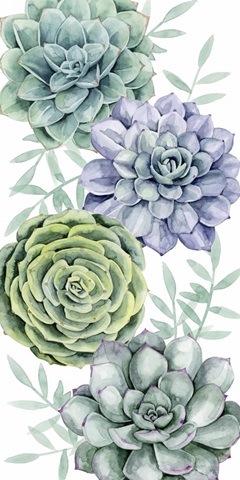 Succulent Swatch Collection B