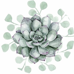 Succulent Swatch Collection C