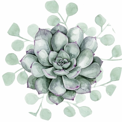 Succulent Swatch Collection C