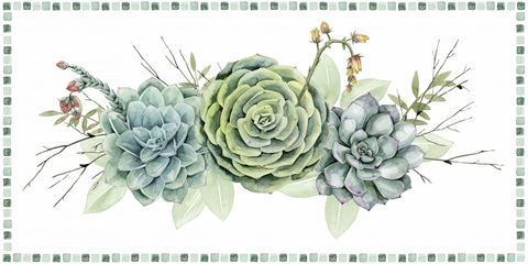 Succulent Swatch Collection D
