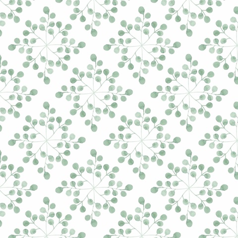 Succulent Swatch Collection G