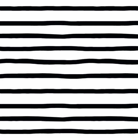 Sunseeker Collection F