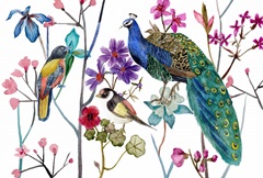 Tangled Garden Collection A