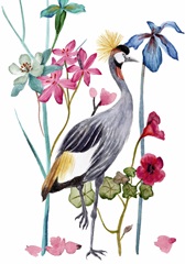 Tangled Garden Collection B