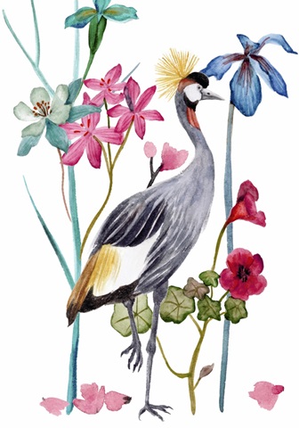 Tangled Garden Collection B