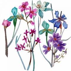 Tangled Garden Collection C