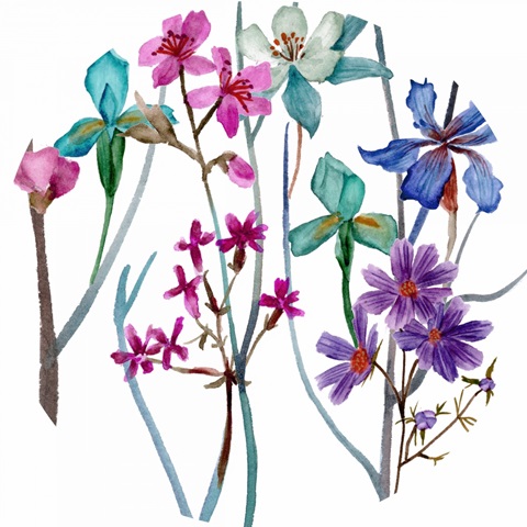 Tangled Garden Collection C