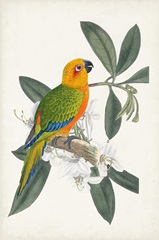 Tropical Bird and Flower I