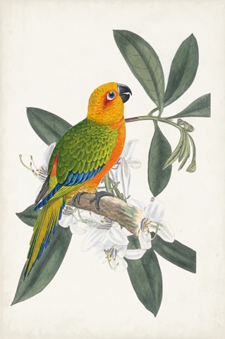 Tropical Bird and Flower I