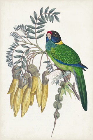 Tropical Bird and Flower II
