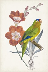 Tropical Bird and Flower III