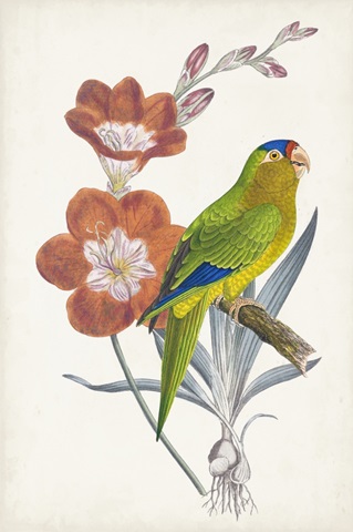 Tropical Bird and Flower III