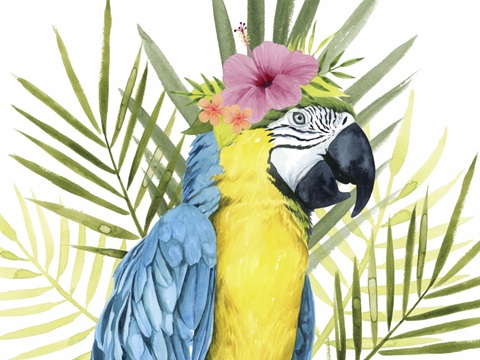 Tropical Treetop Collection A