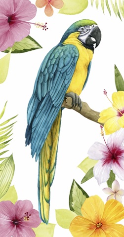 Tropical Treetop Collection B