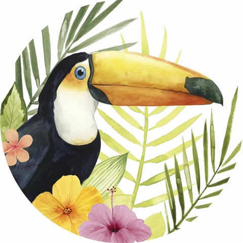 Tropical Treetop Collection C