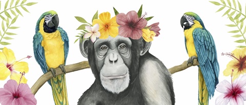 Tropical Treetop Collection D