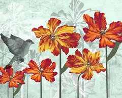 Tulip Portrait Collection A