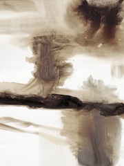 Variegated Abstract II