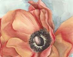 Watercolor Poppy I