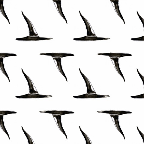 Witchy Mischief Collection F