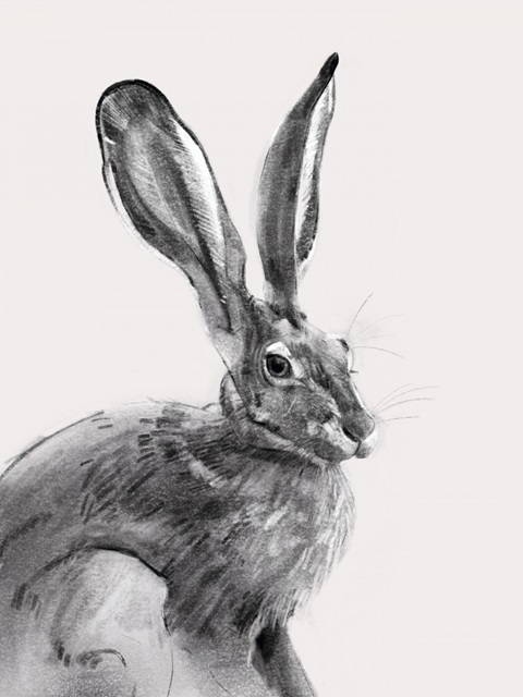 Wild Hare II