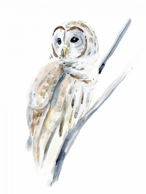 Arctic Owl I