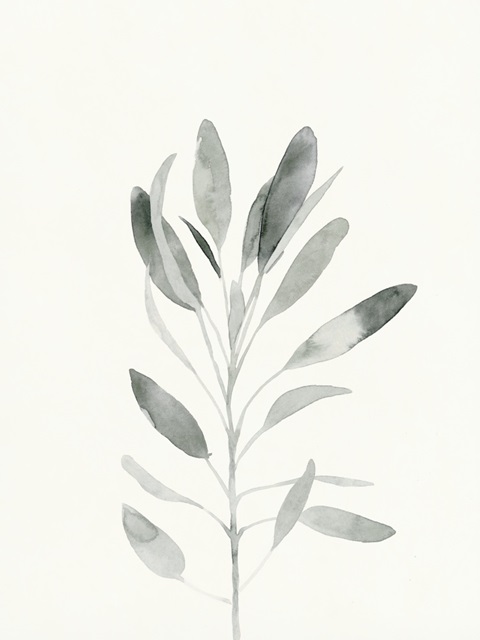 Delicate Sage Botanical II