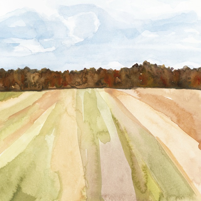 Autumn Crops II