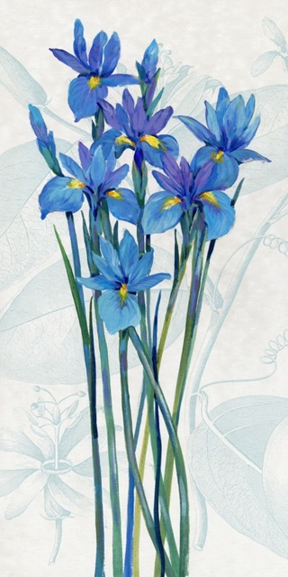 Blue Iris Panel I