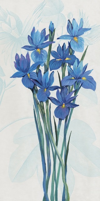 Blue Iris Panel II