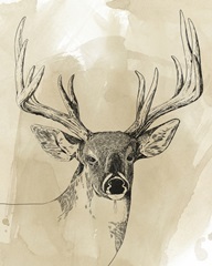 Burnished Buck I