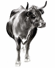 Charcoal Cattle I