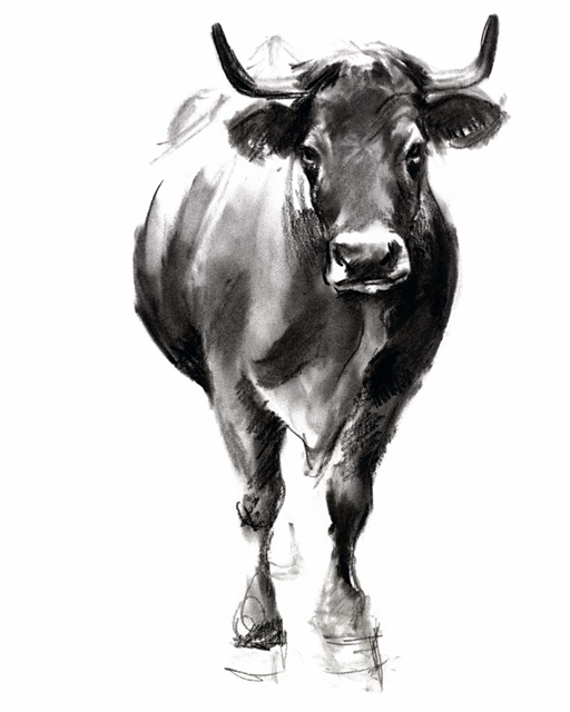 Charcoal Cattle II