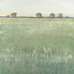 Green Meadow I