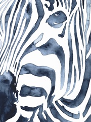 Indigo Zebra II