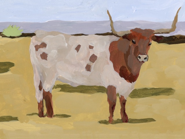 Longhorn Cattle II