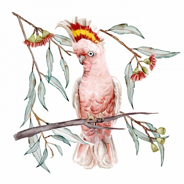 Pink Cockatoo I