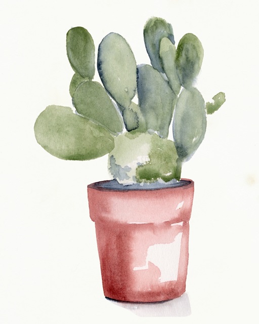 Potted Succulent I